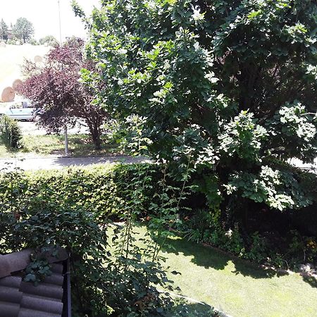B&B La Rosa Gialla Maranello Zewnętrze zdjęcie