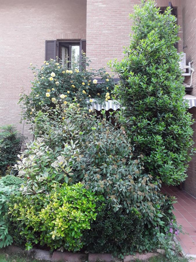 B&B La Rosa Gialla Maranello Zewnętrze zdjęcie