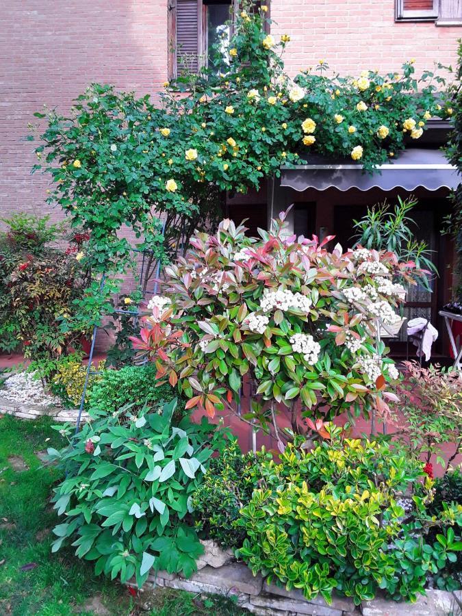 B&B La Rosa Gialla Maranello Zewnętrze zdjęcie