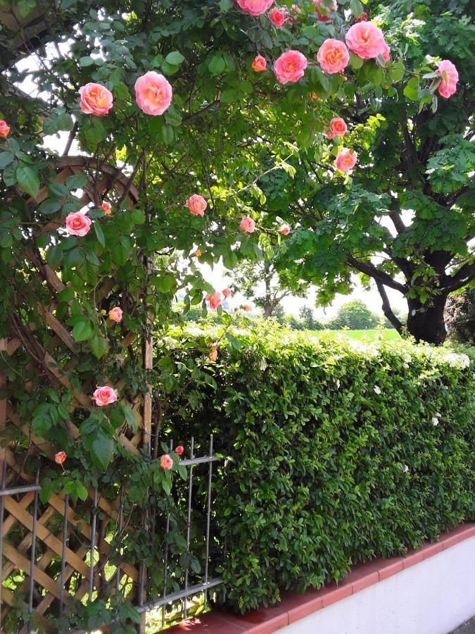 B&B La Rosa Gialla Maranello Zewnętrze zdjęcie