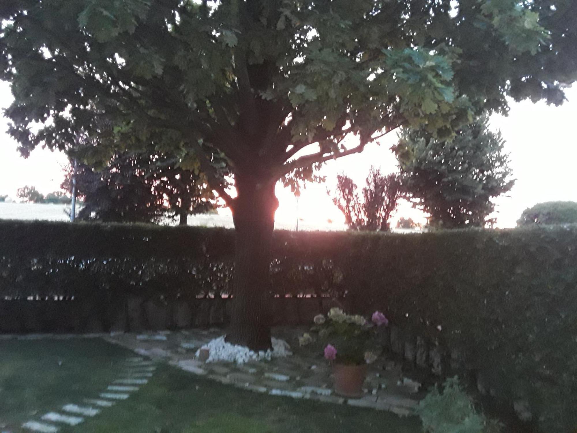B&B La Rosa Gialla Maranello Zewnętrze zdjęcie